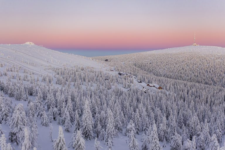 Praděd v zimě a smrk s čerstvým sněhem